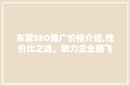 东营SEO推广价格介绍,性价比之选，助力企业腾飞