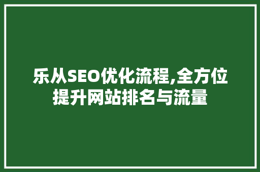 乐从SEO优化流程,全方位提升网站排名与流量