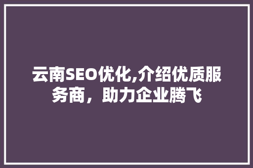 云南SEO优化,介绍优质服务商，助力企业腾飞