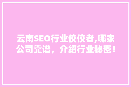 云南SEO行业佼佼者,哪家公司靠谱，介绍行业秘密！
