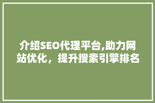 介绍SEO代理平台,助力网站优化，提升搜索引擎排名的秘密武器