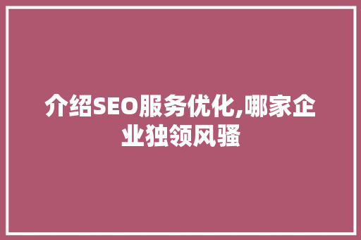 介绍SEO服务优化,哪家企业独领风骚  第1张