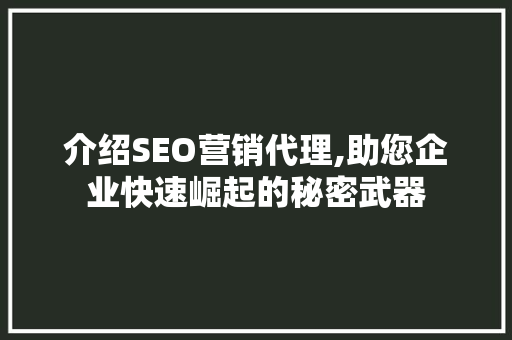 介绍SEO营销代理,助您企业快速崛起的秘密武器