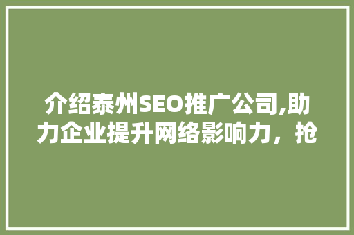 介绍泰州SEO推广公司,助力企业提升网络影响力，抢占市场先机