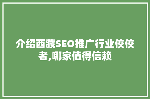 介绍西藏SEO推广行业佼佼者,哪家值得信赖