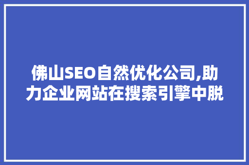 佛山SEO自然优化公司,助力企业网站在搜索引擎中脱颖而出