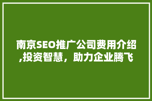 南京SEO推广公司费用介绍,投资智慧，助力企业腾飞