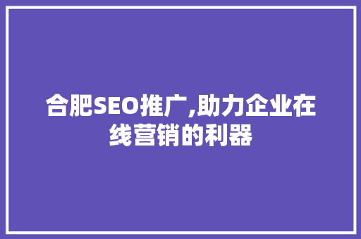 合肥SEO推广,助力企业在线营销的利器