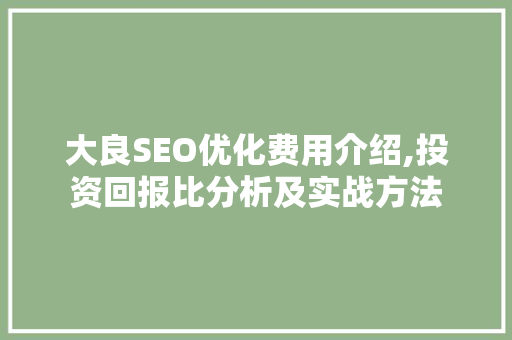 大良SEO优化费用介绍,投资回报比分析及实战方法