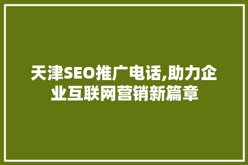 天津SEO推广电话,助力企业互联网营销新篇章