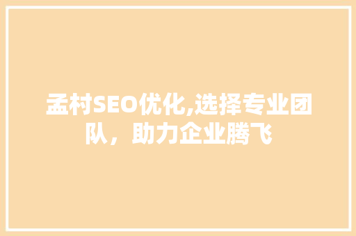 孟村SEO优化,选择专业团队，助力企业腾飞