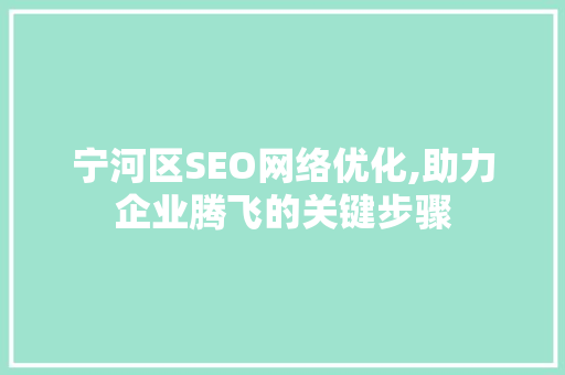 宁河区SEO网络优化,助力企业腾飞的关键步骤