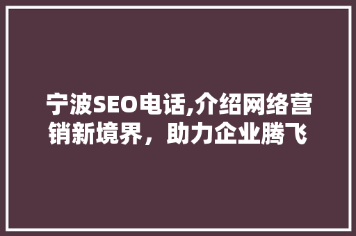 宁波SEO电话,介绍网络营销新境界，助力企业腾飞
