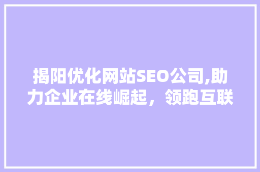 揭阳优化网站SEO公司,助力企业在线崛起，领跑互联网营销新趋势