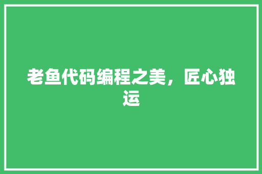老鱼代码编程之美，匠心独运