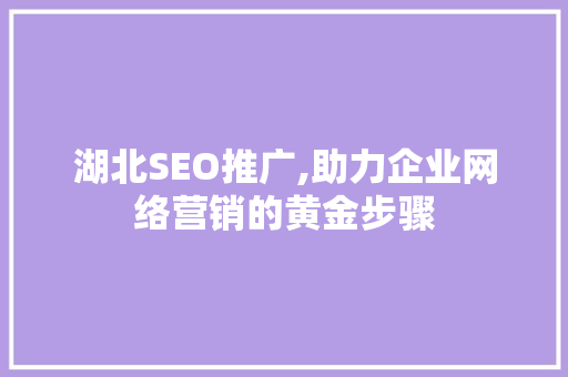 湖北SEO推广,助力企业网络营销的黄金步骤