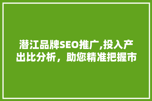 潜江品牌SEO推广,投入产出比分析，助您精准把握市场脉搏