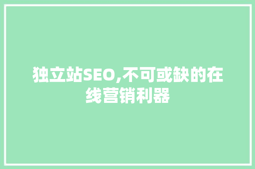 独立站SEO,不可或缺的在线营销利器