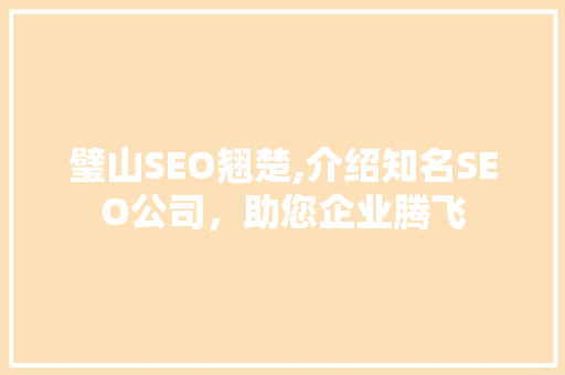 璧山SEO翘楚,介绍知名SEO公司，助您企业腾飞
