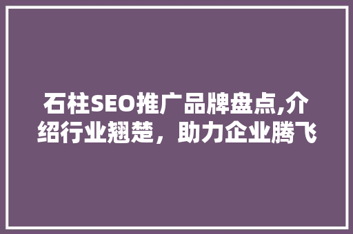 石柱SEO推广品牌盘点,介绍行业翘楚，助力企业腾飞