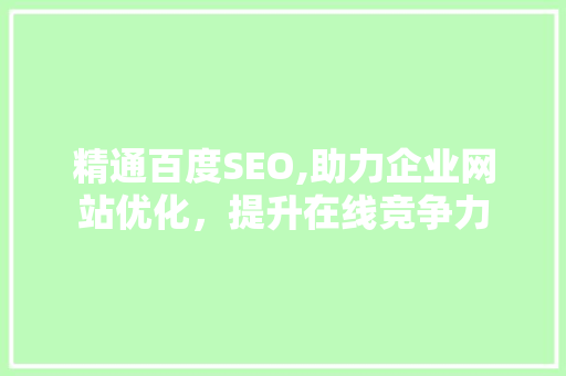精通百度SEO,助力企业网站优化，提升在线竞争力