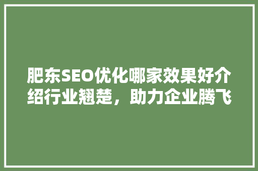 肥东SEO优化哪家效果好介绍行业翘楚，助力企业腾飞