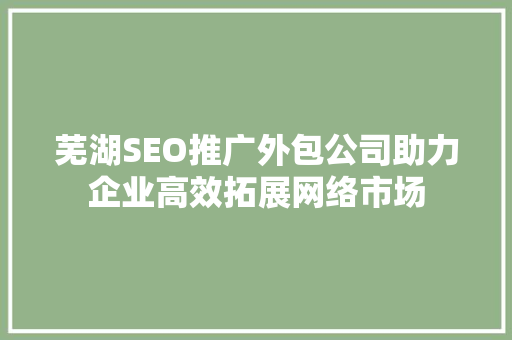 芜湖SEO推广外包公司助力企业高效拓展网络市场
