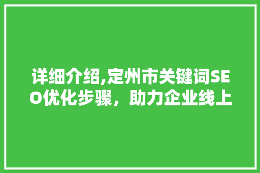 详细介绍,定州市关键词SEO优化步骤，助力企业线上腾飞