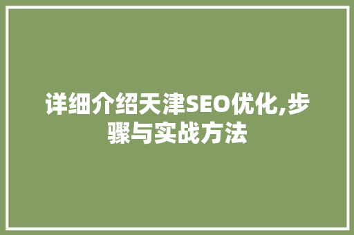 详细介绍天津SEO优化,步骤与实战方法
