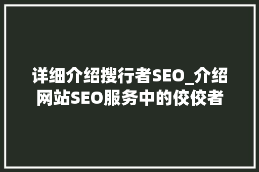 详细介绍搜行者SEO_介绍网站SEO服务中的佼佼者