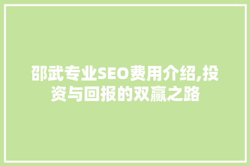 邵武专业SEO费用介绍,投资与回报的双赢之路
