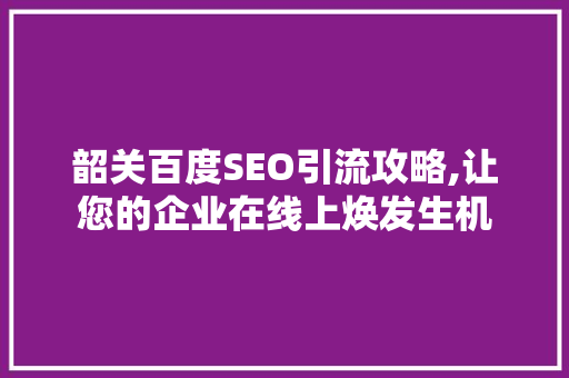 韶关百度SEO引流攻略,让您的企业在线上焕发生机