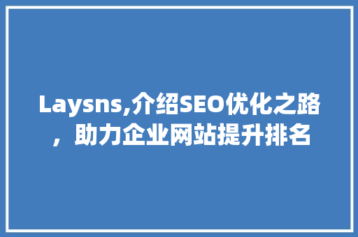 Laysns,介绍SEO优化之路，助力企业网站提升排名