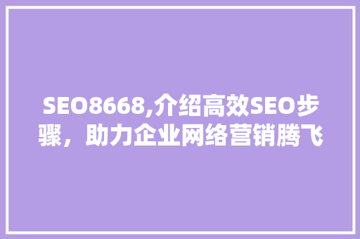 SEO8668,介绍高效SEO步骤，助力企业网络营销腾飞