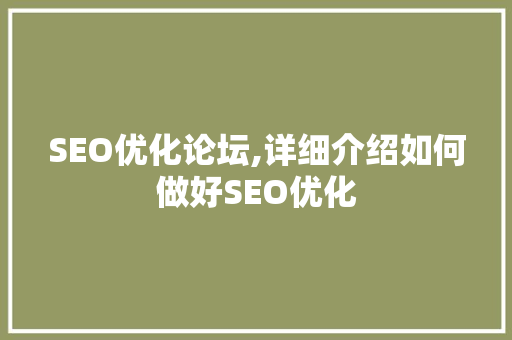 SEO优化论坛,详细介绍如何做好SEO优化