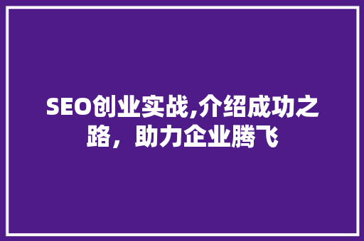 SEO创业实战,介绍成功之路，助力企业腾飞