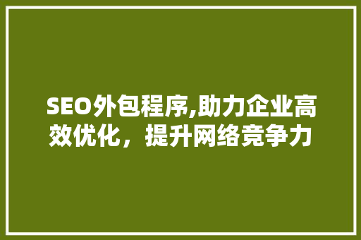 SEO外包程序,助力企业高效优化，提升网络竞争力