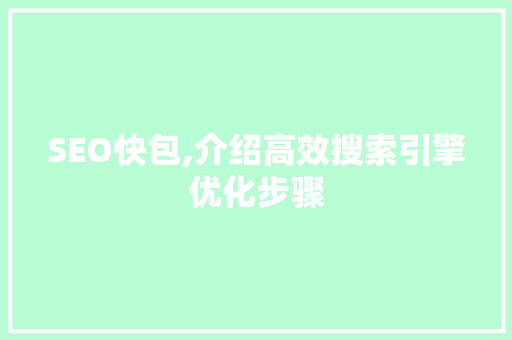 SEO快包,介绍高效搜索引擎优化步骤