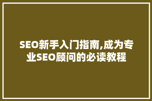 SEO新手入门指南,成为专业SEO顾问的必读教程