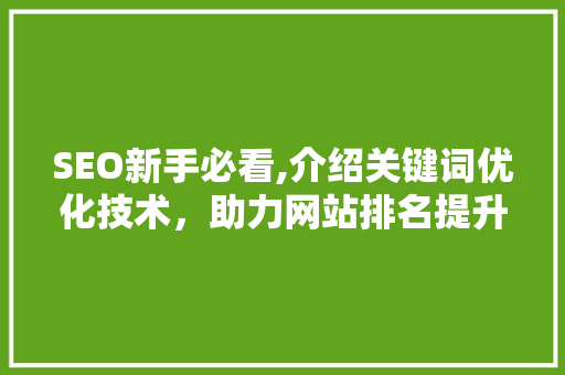 SEO新手必看,介绍关键词优化技术，助力网站排名提升