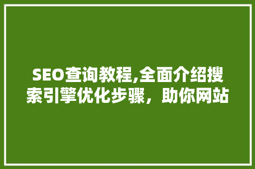 SEO查询教程,全面介绍搜索引擎优化步骤，助你网站脱颖而出