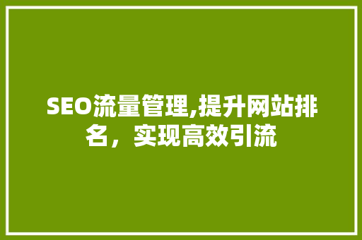 SEO流量管理,提升网站排名，实现高效引流