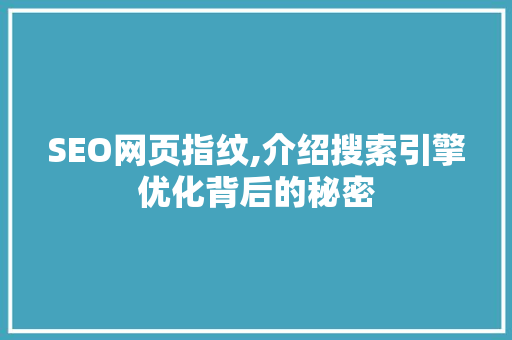 SEO网页指纹,介绍搜索引擎优化背后的秘密