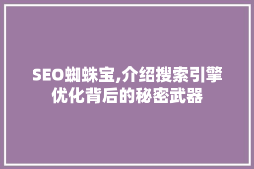 SEO蜘蛛宝,介绍搜索引擎优化背后的秘密武器