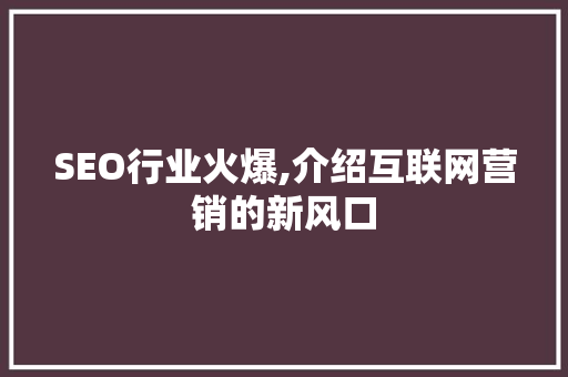 SEO行业火爆,介绍互联网营销的新风口