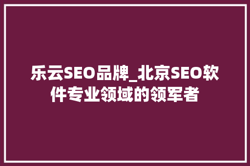 乐云SEO品牌_北京SEO软件专业领域的领军者