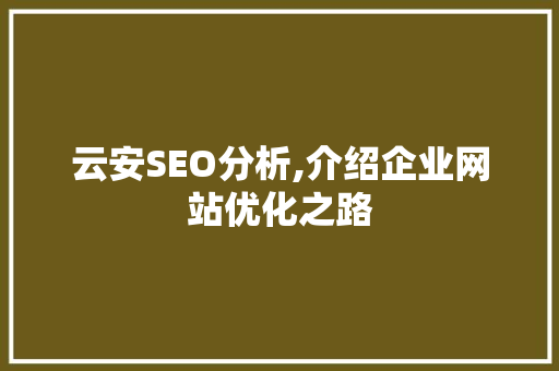 云安SEO分析,介绍企业网站优化之路