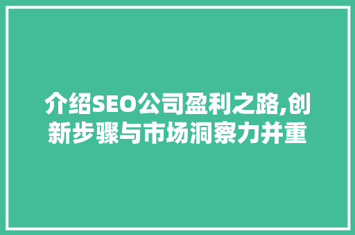 介绍SEO公司盈利之路,创新步骤与市场洞察力并重