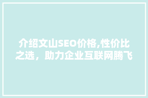 介绍文山SEO价格,性价比之选，助力企业互联网腾飞