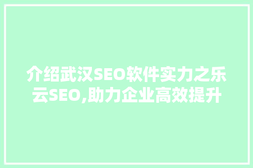 介绍武汉SEO软件实力之乐云SEO,助力企业高效提升网站排名